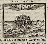 Picture 13 of 63 from Les hieroglyphiques de Ian-Pierre Valerian, vulgairement nommé Pierius. Autrement, commentaires des lettres et figures sacrées des Aegyptiens & autres nations. Oeuure reduicte en cinquante huict liures, ausquels sont adjoincts deux autres (1615), leaf 140