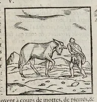 Picture 15 of 63 from Les hieroglyphiques de Ian-Pierre Valerian, vulgairement nommé Pierius. Autrement, commentaires des lettres et figures sacrées des Aegyptiens & autres nations. Oeuure reduicte en cinquante huict liures, ausquels sont adjoincts deux autres (1615), leaf 186