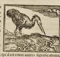 Picture 19 of 63 from Les hieroglyphiques de Ian-Pierre Valerian, vulgairement nommé Pierius. Autrement, commentaires des lettres et figures sacrées des Aegyptiens & autres nations. Oeuure reduicte en cinquante huict liures, ausquels sont adjoincts deux autres (1615), leaf 259