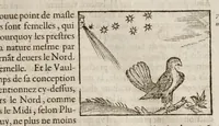Picture 20 of 63 from Les hieroglyphiques de Ian-Pierre Valerian, vulgairement nommé Pierius. Autrement, commentaires des lettres et figures sacrées des Aegyptiens & autres nations. Oeuure reduicte en cinquante huict liures, ausquels sont adjoincts deux autres (1615), leaf 268