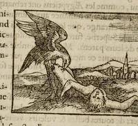 Picture 21 of 63 from Les hieroglyphiques de Ian-Pierre Valerian, vulgairement nommé Pierius. Autrement, commentaires des lettres et figures sacrées des Aegyptiens & autres nations. Oeuure reduicte en cinquante huict liures, ausquels sont adjoincts deux autres (1615), leaf 271