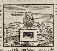Picture 23 of 63 from Les hieroglyphiques de Ian-Pierre Valerian, vulgairement nommé Pierius. Autrement, commentaires des lettres et figures sacrées des Aegyptiens & autres nations. Oeuure reduicte en cinquante huict liures, ausquels sont adjoincts deux autres (1615), leaf 294