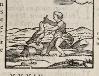 Picture 24 of 63 from Les hieroglyphiques de Ian-Pierre Valerian, vulgairement nommé Pierius. Autrement, commentaires des lettres et figures sacrées des Aegyptiens & autres nations. Oeuure reduicte en cinquante huict liures, ausquels sont adjoincts deux autres (1615), leaf 300