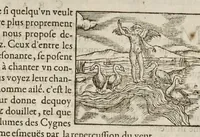 Picture 25 of 63 from Les hieroglyphiques de Ian-Pierre Valerian, vulgairement nommé Pierius. Autrement, commentaires des lettres et figures sacrées des Aegyptiens & autres nations. Oeuure reduicte en cinquante huict liures, ausquels sont adjoincts deux autres (1615), leaf 329