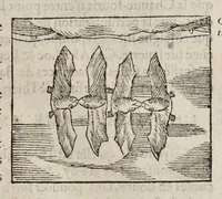 Picture 26 of 63 from Les hieroglyphiques de Ian-Pierre Valerian, vulgairement nommé Pierius. Autrement, commentaires des lettres et figures sacrées des Aegyptiens & autres nations. Oeuure reduicte en cinquante huict liures, ausquels sont adjoincts deux autres (1615), leaf 354