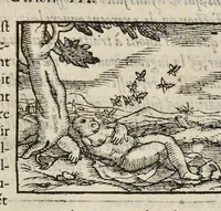 An illustration from Les hieroglyphiques de Ian-Pierre Valerian, vulgairement nommé Pierius. Autrement, commentaires des lettres et figures sacrées des Aegyptiens & autres nations. Oeuure reduicte en cinquante huict liures, ausquels sont adjoincts deux autres (1615)