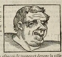 Picture 30 of 63 from Les hieroglyphiques de Ian-Pierre Valerian, vulgairement nommé Pierius. Autrement, commentaires des lettres et figures sacrées des Aegyptiens & autres nations. Oeuure reduicte en cinquante huict liures, ausquels sont adjoincts deux autres (1615), leaf 445