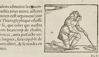 Picture 31 of 63 from Les hieroglyphiques de Ian-Pierre Valerian, vulgairement nommé Pierius. Autrement, commentaires des lettres et figures sacrées des Aegyptiens & autres nations. Oeuure reduicte en cinquante huict liures, ausquels sont adjoincts deux autres (1615), leaf 449