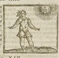 Picture 35 of 63 from Les hieroglyphiques de Ian-Pierre Valerian, vulgairement nommé Pierius. Autrement, commentaires des lettres et figures sacrées des Aegyptiens & autres nations. Oeuure reduicte en cinquante huict liures, ausquels sont adjoincts deux autres (1615), leaf 461