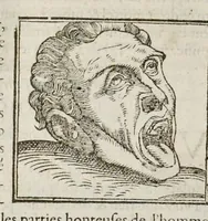 Picture 41 of 63 from Les hieroglyphiques de Ian-Pierre Valerian, vulgairement nommé Pierius. Autrement, commentaires des lettres et figures sacrées des Aegyptiens & autres nations. Oeuure reduicte en cinquante huict liures, ausquels sont adjoincts deux autres (1615), leaf 499