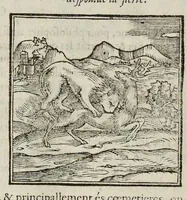 Picture 5 of 63 from Les hieroglyphiques de Ian-Pierre Valerian, vulgairement nommé Pierius. Autrement, commentaires des lettres et figures sacrées des Aegyptiens & autres nations. Oeuure reduicte en cinquante huict liures, ausquels sont adjoincts deux autres (1615), leaf 57