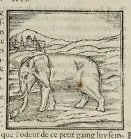 An illustration from Les hieroglyphiques de Ian-Pierre Valerian, vulgairement nommé Pierius. Autrement, commentaires des lettres et figures sacrées des Aegyptiens & autres nations. Oeuure reduicte en cinquante huict liures, ausquels sont adjoincts deux autres (1615)