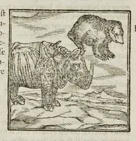 Picture 7 of 63 from Les hieroglyphiques de Ian-Pierre Valerian, vulgairement nommé Pierius. Autrement, commentaires des lettres et figures sacrées des Aegyptiens & autres nations. Oeuure reduicte en cinquante huict liures, ausquels sont adjoincts deux autres (1615), leaf 67