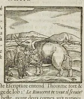 Picture 8 of 63 from Les hieroglyphiques de Ian-Pierre Valerian, vulgairement nommé Pierius. Autrement, commentaires des lettres et figures sacrées des Aegyptiens & autres nations. Oeuure reduicte en cinquante huict liures, ausquels sont adjoincts deux autres (1615), leaf 67