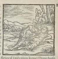 Picture 57 of 63 from Les hieroglyphiques de Ian-Pierre Valerian, vulgairement nommé Pierius. Autrement, commentaires des lettres et figures sacrées des Aegyptiens & autres nations. Oeuure reduicte en cinquante huict liures, ausquels sont adjoincts deux autres (1615), leaf 829