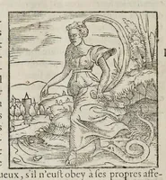 Picture 60 of 63 from Les hieroglyphiques de Ian-Pierre Valerian, vulgairement nommé Pierius. Autrement, commentaires des lettres et figures sacrées des Aegyptiens & autres nations. Oeuure reduicte en cinquante huict liures, ausquels sont adjoincts deux autres (1615), leaf 835