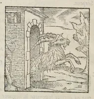 Picture 62 of 63 from Les hieroglyphiques de Ian-Pierre Valerian, vulgairement nommé Pierius. Autrement, commentaires des lettres et figures sacrées des Aegyptiens & autres nations. Oeuure reduicte en cinquante huict liures, ausquels sont adjoincts deux autres (1615), leaf 841
