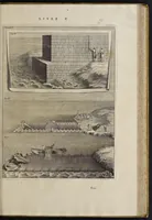 An illustration from Les dix livres d'architecture de Vitruve, corrigez et traduits nouvellement en françois, avec des notes & des figures (1673)