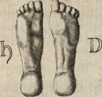 An illustration from Joh. Baptistae Casalii Romani De profanis et sacris veteribus ritibus opus tripartitum : cujus prima pars agit de profanis Ægyptiorum ritibus ... ; secunda pars agit de profanis Romanorum ritibus ... ; tertia pars agit de sacris Christianorum ritibus ... ; accedunt indices capitum, rerum item & verborum copiosissimi, & accuratissimi (1681)