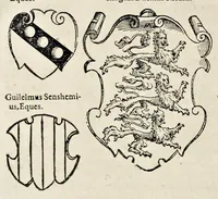 Picture 39 of 71 from Pandectae trivmphales, siue, Pomparvm et festorvm ac solennivm apparatvvm, conviviorvm, spectacvlorvm, simvlacrorvm bellicorvm equestrivm et pedestrivm, navmachiarum, ludorum deniq[ue] omnium nobiliorum, quot hactenus vbiq[ue] gentium re bello bene gesta ... edita concelebrataque sunt, tomi dvo : qvorvm prior de trivmphis ... heroum ... tractat : posterior ... hastilvdiorvm per Germaniam tradit initia ... (1586), leaf 679