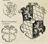 Picture 62 of 71 from Pandectae trivmphales, siue, Pomparvm et festorvm ac solennivm apparatvvm, conviviorvm, spectacvlorvm, simvlacrorvm bellicorvm equestrivm et pedestrivm, navmachiarum, ludorum deniq[ue] omnium nobiliorum, quot hactenus vbiq[ue] gentium re bello bene gesta ... edita concelebrataque sunt, tomi dvo : qvorvm prior de trivmphis ... heroum ... tractat : posterior ... hastilvdiorvm per Germaniam tradit initia ... (1586), leaf 799