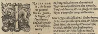 An illustration from Il fido amante : poema eroico (1582)