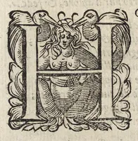 An illustration from Il fido amante : poema eroico (1582)