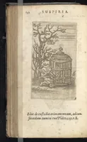 Picture 44 of 49 from Pia desideria : tribus libris comprehensa (1694), leaf 169