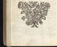 An illustration from Pia desideria : tribus libris comprehensa (1657)
