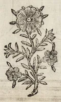 An illustration from Paradossi per pratticare la prospettiva senza saperla, fiori, per facilitare l'intelligenza, frutti, per non operare alla cieca. Cognitioni necessarie à pittori, scultori, architetti, ed à qualunque si diletta di disegno (1683)