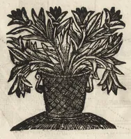 An illustration from Paradossi per pratticare la prospettiva senza saperla, fiori, per facilitare l'intelligenza, frutti, per non operare alla cieca. Cognitioni necessarie à pittori, scultori, architetti, ed à qualunque si diletta di disegno (1683)