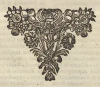 An illustration from Historia di Leopoldo Cesare : continente le cose più memorabili successe in Europa, dal 1656 sino al 1670 (1670)