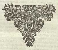 Picture 26 of 27 from Historia di Leopoldo Cesare : continente le cose più memorabili successe in Europa, dal 1656 sino al 1670 (1670), leaf 1239