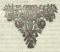 An illustration from Historia di Leopoldo Cesare : continente le cose più memorabili successe in Europa, dal 1656 sino al 1670 (1670)