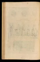 An illustration from Hercvles Ethnicorvm ex variis antiqvitatvm reliqviis delineatvs : additis in fine modernis qvibvsdam ejusdem argumenti pictvris (1705)