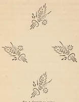 An illustration from Méthode pratique d'impression des tissus en couleurs : mates, dorées, argentées, bronzées, veloutées et perlées : applicable aus étoffes reteintes, aux tissus en pièces, aus rubans, aux peaux, toiles cirées, moleskines, aux papiers de fantaisie, à la chapellerie, aux cachets et marques de fabrique, etc (1873)