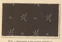 An illustration from Méthode pratique d'impression des tissus en couleurs : mates, dorées, argentées, bronzées, veloutées et perlées : applicable aus étoffes reteintes, aux tissus en pièces, aus rubans, aux peaux, toiles cirées, moleskines, aux papiers de fantaisie, à la chapellerie, aux cachets et marques de fabrique, etc (1873)