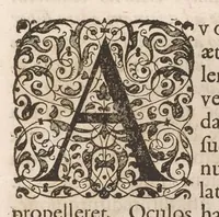 Picture 4 of 38 from Imperatorum romanorum numismata ex aere mediae et minimae formae : descripta & enarrata (1671), leaf 72