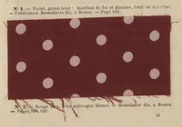 An illustration from Industries textiles : blanchiment et apprêts : teinture et impression : matières colorantes (1895)