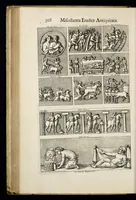Picture 35 of 37 from Miscellanea eruditae antiquitatis : in quibus marmora, statuae, musiva, toreumata, gemmae, numismata, Grutero, Vrsino, Boissardo, Reinesio aliisque antiquorum monumentorum collectoribus ignota & hucusque inedita referuntur ac illustrantur (1685), leaf 321