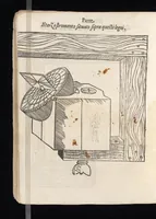 Picture 10 of 14 from Della fabrica & vso di vn novo stromento, fatto in quattro maniere per fare gli horologi solari ad ogni latitvdine : con tutte le sorti di hore, che si vsano, ilquale si può vsare per horologio ancora : nouo trattato diuiso in due parti (1590), leaf 47