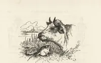 An illustration from La comédie de notre temps ... études au crayon et à la plume (1874)
