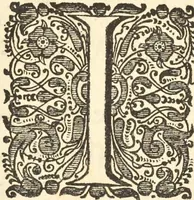 An illustration from Gedenkwaerdig bedryf der Nederlandsche Oost-Indische Maetschappye, op de kuste en in het keizerrijk van Taising of Sina : behelzende het tweede gezandschap aen den onder-koning Singlamong en veldheer Taising Lipoui, door Jan van Kampen en Konstantyn Nobel : vervolgt met een verhael van het voorgevallen des jaers zestien hondert drie en vier en zestig, op de kuste van Sina, en ontrent d'eilanden Tayowan, Formosa, Ay en Quemuy, onder't gezag van Balthasar Bort : en het derde gezandschap aen Konchy, Tartarsche keizer van Sina en Oost-Tartarye : onder beleit van zijne ed. Pieter van Hoorn : beneffens een beschryving van geheel Sina : verçiert doorgaens met verscheide kopere platen (1670)