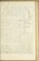 An illustration from Gedenkwaerdig bedryf der Nederlandsche Oost-Indische Maetschappye, op de kuste en in het keizerrijk van Taising of Sina : behelzende het tweede gezandschap aen den onder-koning Singlamong en veldheer Taising Lipoui, door Jan van Kampen en Konstantyn Nobel : vervolgt met een verhael van het voorgevallen des jaers zestien hondert drie en vier en zestig, op de kuste van Sina, en ontrent d'eilanden Tayowan, Formosa, Ay en Quemuy, onder't gezag van Balthasar Bort : en het derde gezandschap aen Konchy, Tartarsche keizer van Sina en Oost-Tartarye : onder beleit van zijne ed. Pieter van Hoorn : beneffens een beschryving van geheel Sina : verçiert doorgaens met verscheide kopere platen (1670)