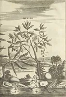An illustration from Gedenkwaerdig bedryf der Nederlandsche Oost-Indische Maetschappye, op de kuste en in het keizerrijk van Taising of Sina : behelzende het tweede gezandschap aen den onder-koning Singlamong en veldheer Taising Lipoui, door Jan van Kampen en Konstantyn Nobel : vervolgt met een verhael van het voorgevallen des jaers zestien hondert drie en vier en zestig, op de kuste van Sina, en ontrent d'eilanden Tayowan, Formosa, Ay en Quemuy, onder't gezag van Balthasar Bort : en het derde gezandschap aen Konchy, Tartarsche keizer van Sina en Oost-Tartarye : onder beleit van zijne ed. Pieter van Hoorn : beneffens een beschryving van geheel Sina : verçiert doorgaens met verscheide kopere platen (1670)