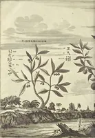 An illustration from Gedenkwaerdig bedryf der Nederlandsche Oost-Indische Maetschappye, op de kuste en in het keizerrijk van Taising of Sina : behelzende het tweede gezandschap aen den onder-koning Singlamong en veldheer Taising Lipoui, door Jan van Kampen en Konstantyn Nobel : vervolgt met een verhael van het voorgevallen des jaers zestien hondert drie en vier en zestig, op de kuste van Sina, en ontrent d'eilanden Tayowan, Formosa, Ay en Quemuy, onder't gezag van Balthasar Bort : en het derde gezandschap aen Konchy, Tartarsche keizer van Sina en Oost-Tartarye : onder beleit van zijne ed. Pieter van Hoorn : beneffens een beschryving van geheel Sina : verçiert doorgaens met verscheide kopere platen (1670)