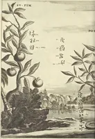 An illustration from Gedenkwaerdig bedryf der Nederlandsche Oost-Indische Maetschappye, op de kuste en in het keizerrijk van Taising of Sina : behelzende het tweede gezandschap aen den onder-koning Singlamong en veldheer Taising Lipoui, door Jan van Kampen en Konstantyn Nobel : vervolgt met een verhael van het voorgevallen des jaers zestien hondert drie en vier en zestig, op de kuste van Sina, en ontrent d'eilanden Tayowan, Formosa, Ay en Quemuy, onder't gezag van Balthasar Bort : en het derde gezandschap aen Konchy, Tartarsche keizer van Sina en Oost-Tartarye : onder beleit van zijne ed. Pieter van Hoorn : beneffens een beschryving van geheel Sina : verçiert doorgaens met verscheide kopere platen (1670)
