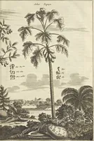 An illustration from Gedenkwaerdig bedryf der Nederlandsche Oost-Indische Maetschappye, op de kuste en in het keizerrijk van Taising of Sina : behelzende het tweede gezandschap aen den onder-koning Singlamong en veldheer Taising Lipoui, door Jan van Kampen en Konstantyn Nobel : vervolgt met een verhael van het voorgevallen des jaers zestien hondert drie en vier en zestig, op de kuste van Sina, en ontrent d'eilanden Tayowan, Formosa, Ay en Quemuy, onder't gezag van Balthasar Bort : en het derde gezandschap aen Konchy, Tartarsche keizer van Sina en Oost-Tartarye : onder beleit van zijne ed. Pieter van Hoorn : beneffens een beschryving van geheel Sina : verçiert doorgaens met verscheide kopere platen (1670)