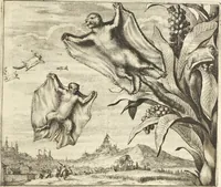 An illustration from Gedenkwaerdig bedryf der Nederlandsche Oost-Indische Maetschappye, op de kuste en in het keizerrijk van Taising of Sina : behelzende het tweede gezandschap aen den onder-koning Singlamong en veldheer Taising Lipoui, door Jan van Kampen en Konstantyn Nobel : vervolgt met een verhael van het voorgevallen des jaers zestien hondert drie en vier en zestig, op de kuste van Sina, en ontrent d'eilanden Tayowan, Formosa, Ay en Quemuy, onder't gezag van Balthasar Bort : en het derde gezandschap aen Konchy, Tartarsche keizer van Sina en Oost-Tartarye : onder beleit van zijne ed. Pieter van Hoorn : beneffens een beschryving van geheel Sina : verçiert doorgaens met verscheide kopere platen (1670)