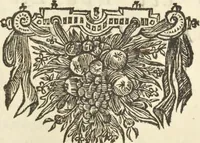 An illustration from Gedenkwaerdig bedryf der Nederlandsche Oost-Indische Maetschappye, op de kuste en in het keizerrijk van Taising of Sina : behelzende het tweede gezandschap aen den onder-koning Singlamong en veldheer Taising Lipoui, door Jan van Kampen en Konstantyn Nobel : vervolgt met een verhael van het voorgevallen des jaers zestien hondert drie en vier en zestig, op de kuste van Sina, en ontrent d'eilanden Tayowan, Formosa, Ay en Quemuy, onder't gezag van Balthasar Bort : en het derde gezandschap aen Konchy, Tartarsche keizer van Sina en Oost-Tartarye : onder beleit van zijne ed. Pieter van Hoorn : beneffens een beschryving van geheel Sina : verçiert doorgaens met verscheide kopere platen (1670)